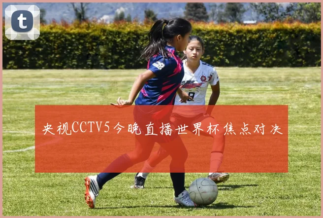 央视CCTV5今晚直播世界杯焦点对决